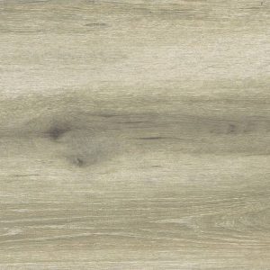 Forest Birch 30x60 - Image 4