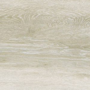 Forest Maple 30x60 - Image 3