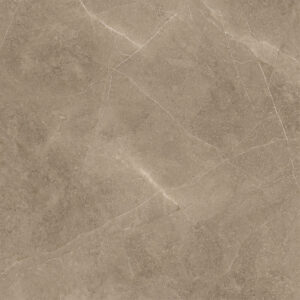Elegant Taupe 60x60 - Image 4