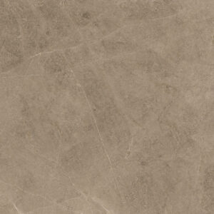 Elegant Taupe 60x60 - Image 3